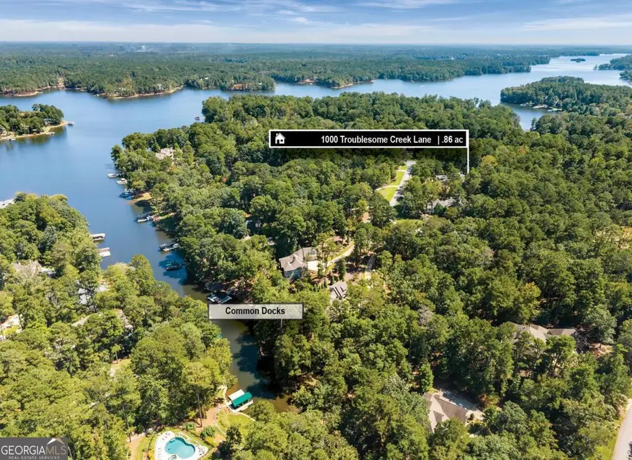 1000 Troublesome Creek Lane, Greensboro, GA 30642 - Image #2