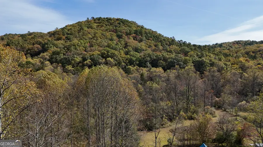 3590 Goshen Creek Road, Clarkesville, GA 30523 - Image #3