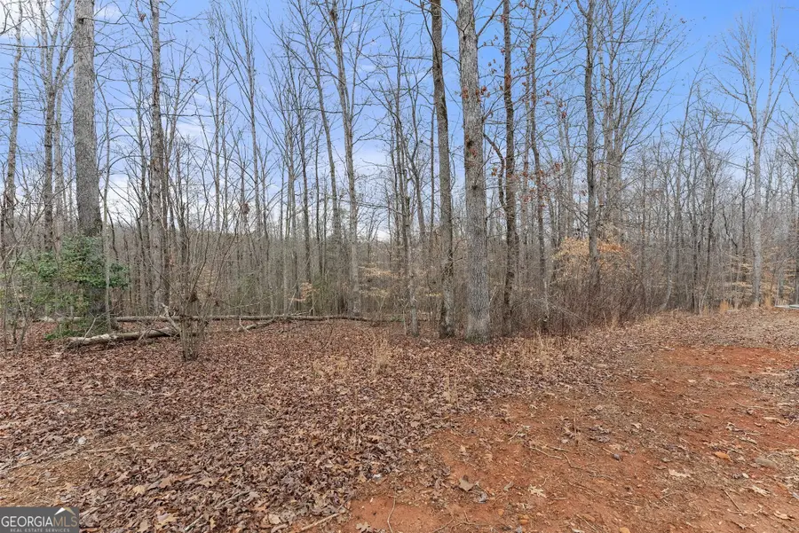 0 Samson Way, Cleveland, GA 30528 - Image #3