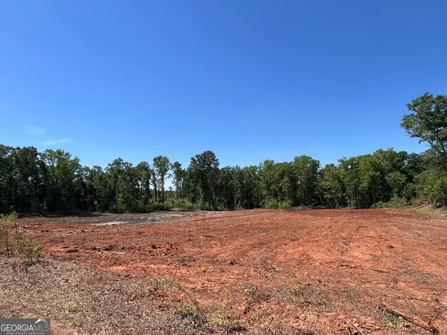 0 Highway 41, Forsyth, GA 31029 - #3