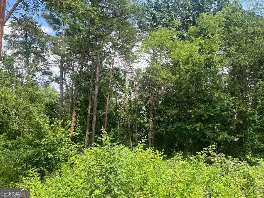 0 College View Drive, Rome, GA 30161 - Image #3