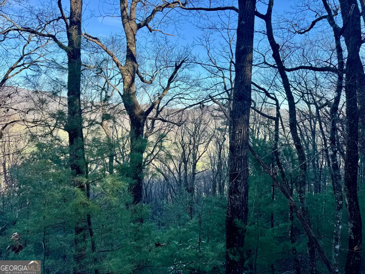 0 Mule Branch Road, Helen, GA 30545 - Image #1