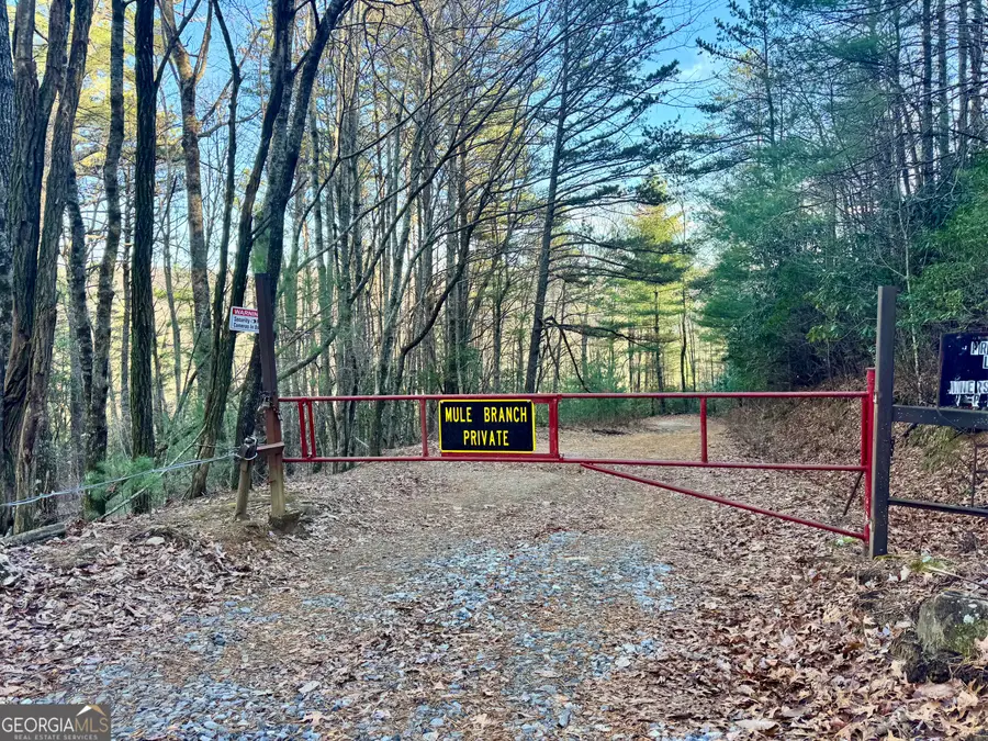 0 Mule Branch Road, Helen, GA 30545 - Image #3