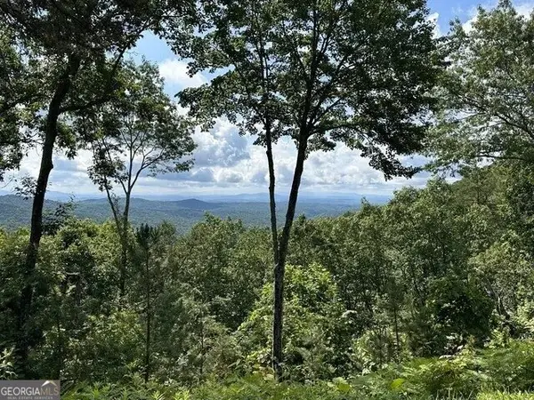 LOT 46 Utana Bluffs Trail, Ellijay, GA 30540