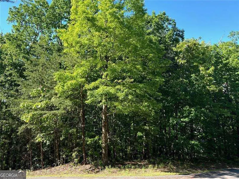 3285 Wood Poppy Drive, Jasper, GA 30143 - #2