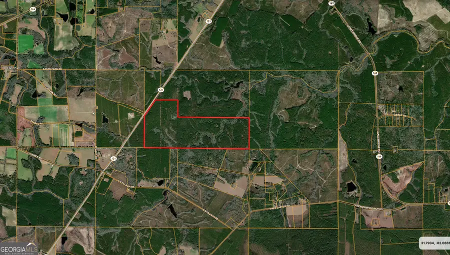 290 ACRES Highway 121, Surrency, GA 31563 - Image #2