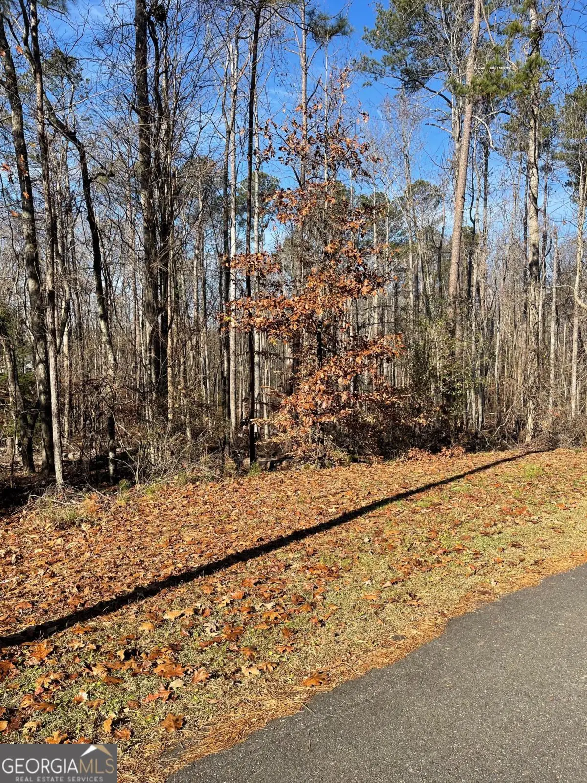 LOT 3 Bow Trail, Woodstock, GA 30188 - #1