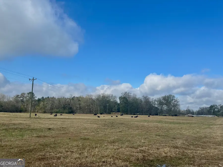 1111 Billy Merritt Road, Greensboro, GA 30642 - Image #2