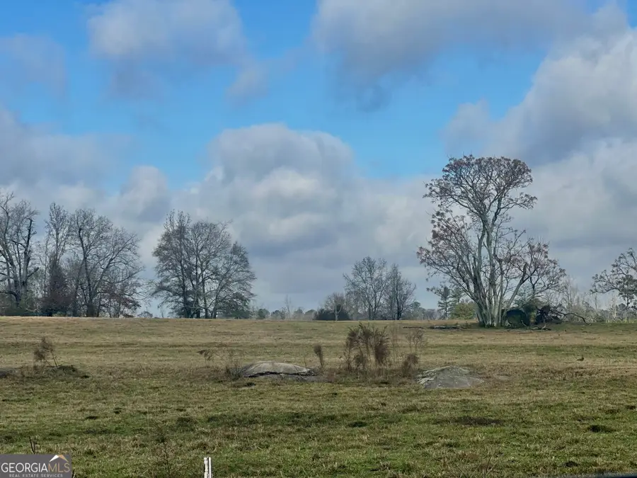 1111 Billy Merritt Road, Greensboro, GA 30642 - Image #3
