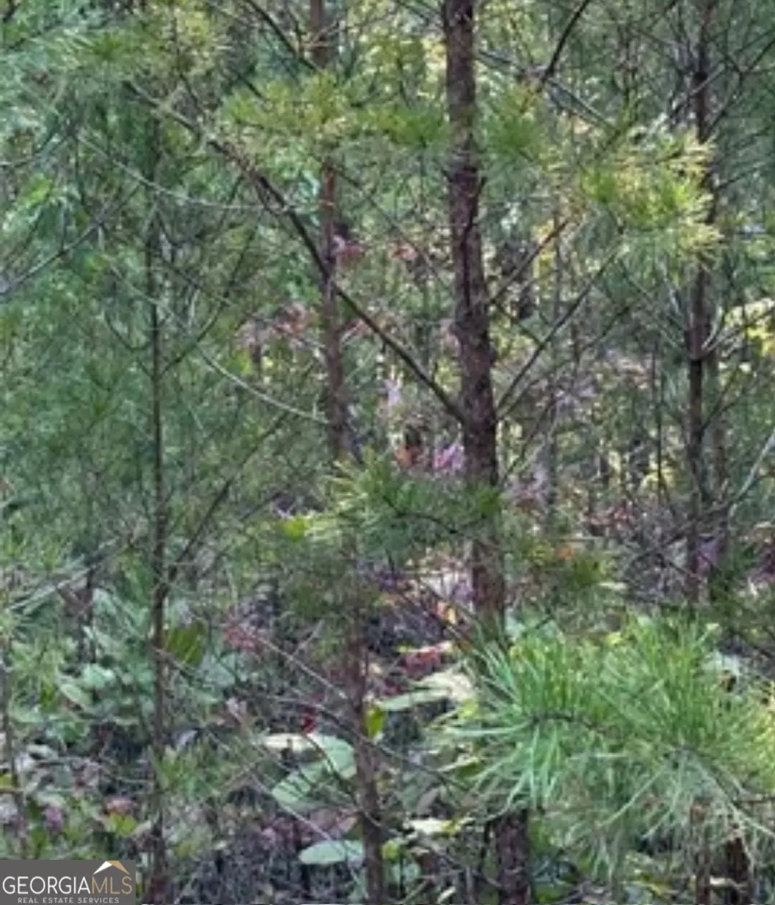 18 S Skyline Drive, Braswell, GA 30153 - Image #1