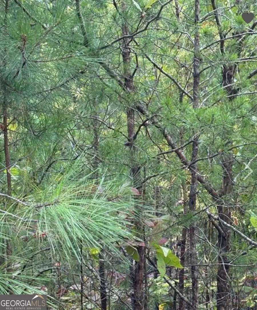 18 S Skyline Drive, Braswell, GA 30153 - Image #3