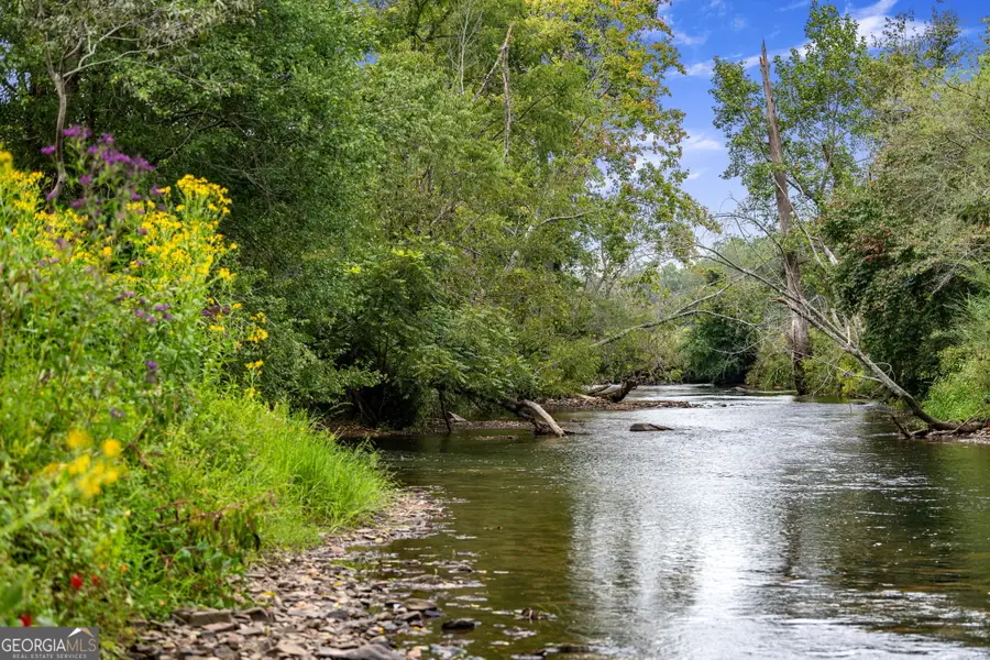 60 E Conasauga Creek, Ellijay, GA 30540 - Image #2