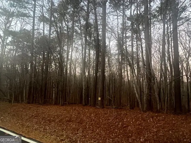 127 Long Shoals Avenue, Eatonton, GA 31024 - Image #3