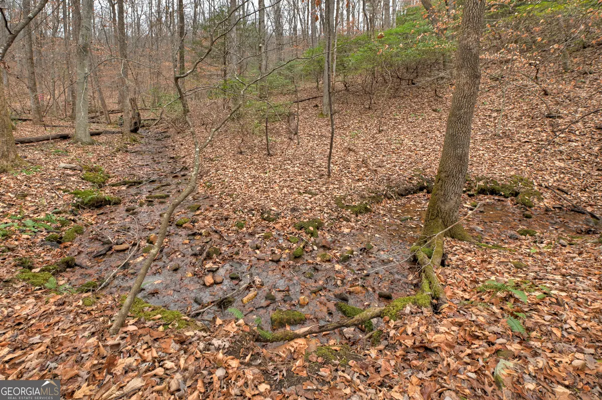 0 Spruill Drive, Ellijay, GA 30536 - Image #1