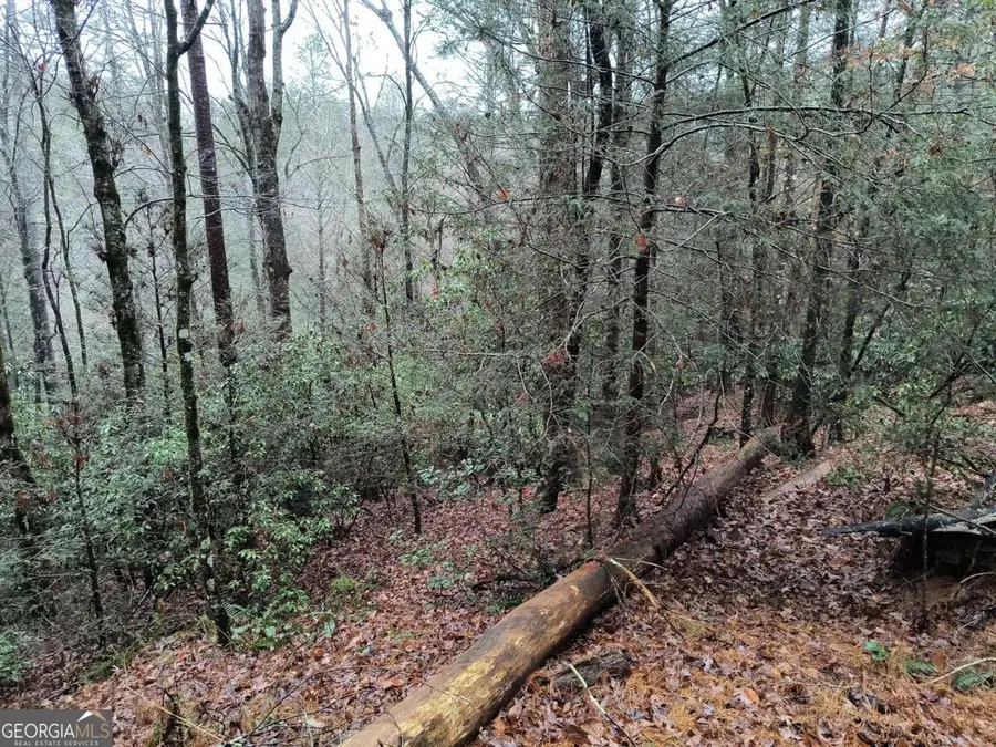 LOT 39 Kells Ridge Drive #39, East Ellijay, GA 30540 - Image #3
