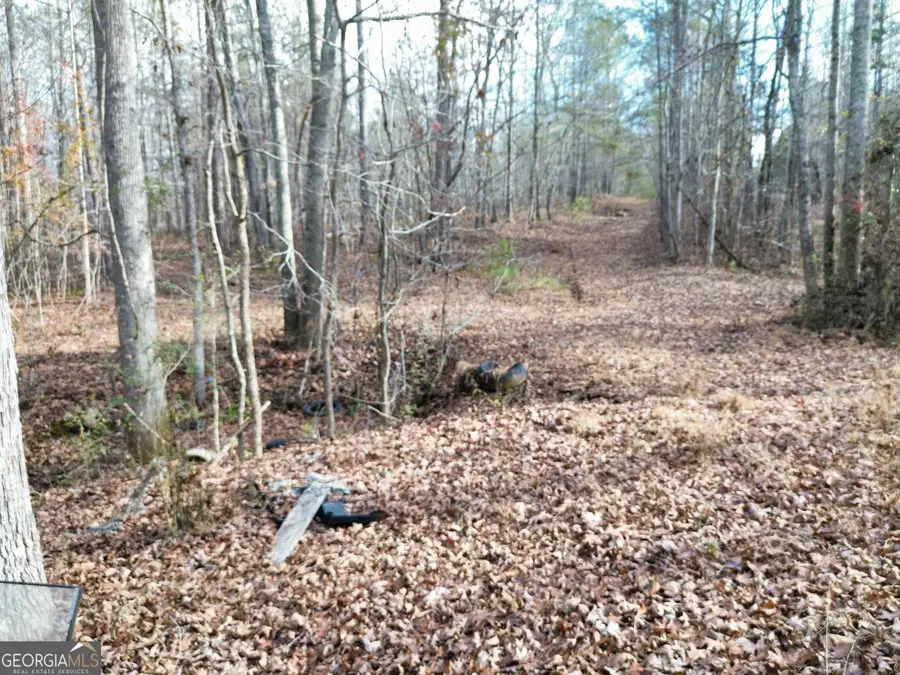 881 S Little New York Trail, Whitesburg, GA 30185 - Image #3