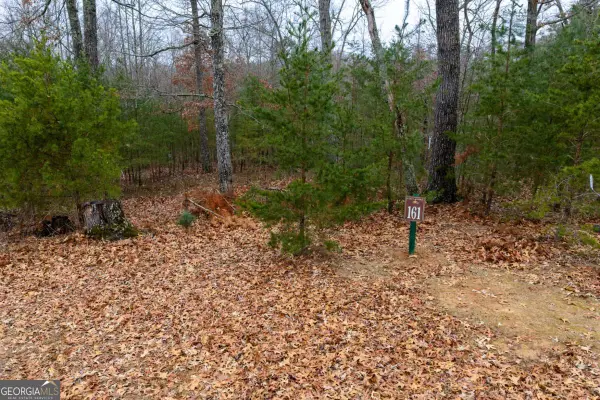 161 Headwaters Court #LOT 161, Cleveland, GA 30528
