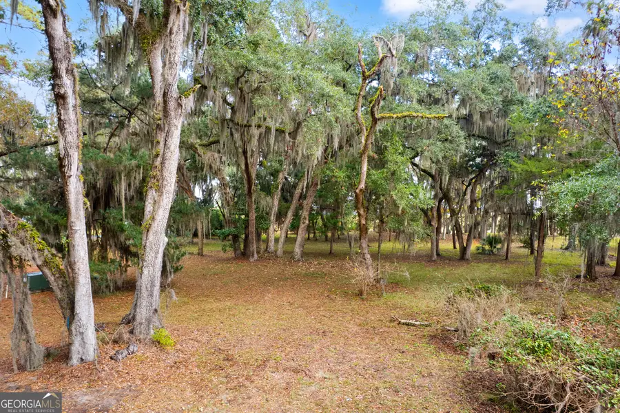 0 Sutherland Bluff Drive Ne, Townsend, GA 31331 - Image #2