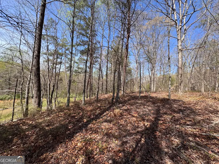 0 Highway 129 N, Cleveland, GA 30528 - Image #2