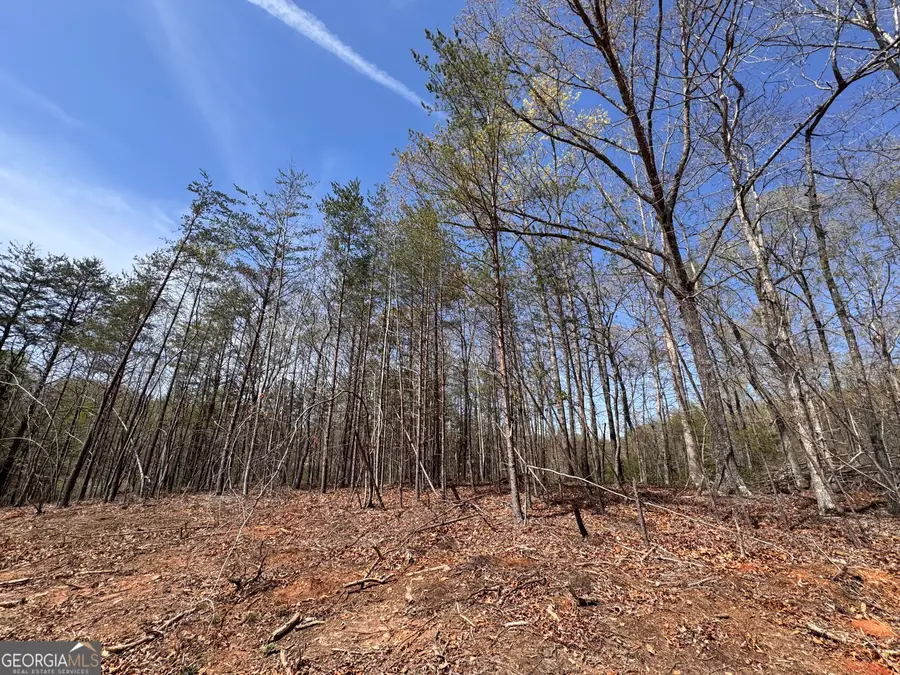 0 Highway 129 N, Cleveland, GA 30528 - Image #3