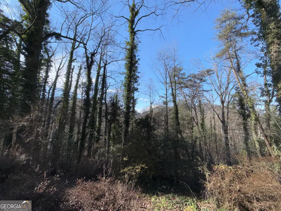 55 Wallace Street, Clayton, GA 30525 - Image #2