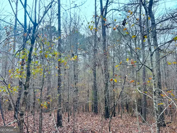 0 Hopeful Road #LOT 2, Munfurd, AL 36268