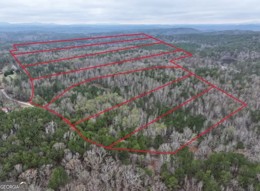 0 Hopeful Road #LOT 2, Munford, AL 36268 - #2