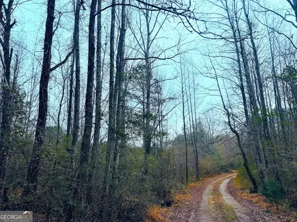 0 Hopeful Road #LOT 3, Munfurd, AL 36268