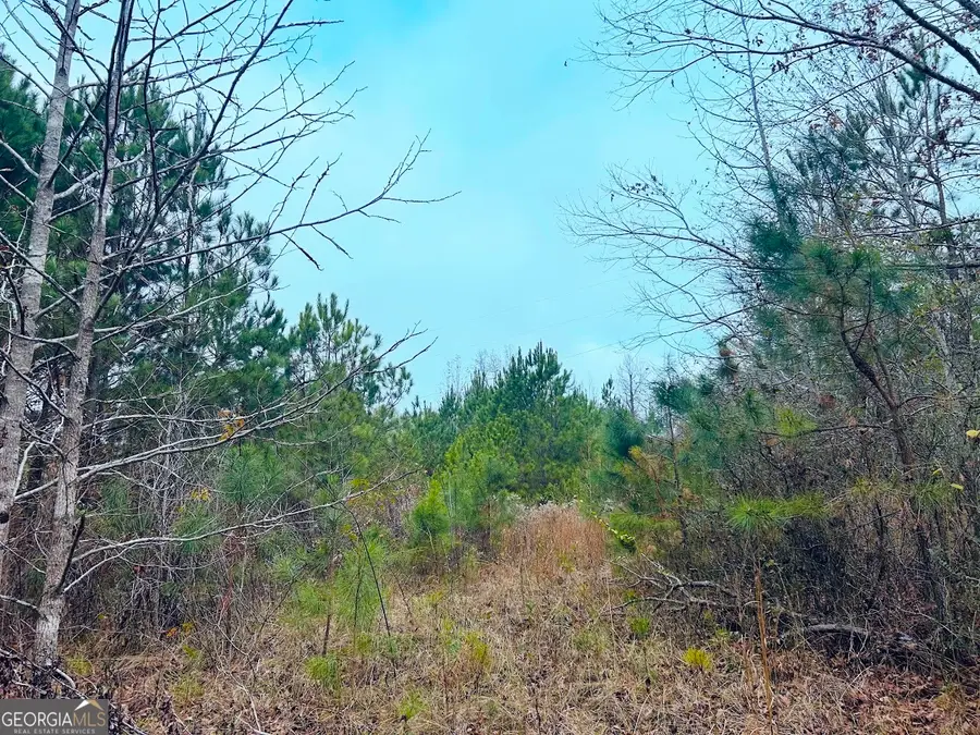 0 Hopeful Road #LOT 3, Munford, AL 36268 - #2