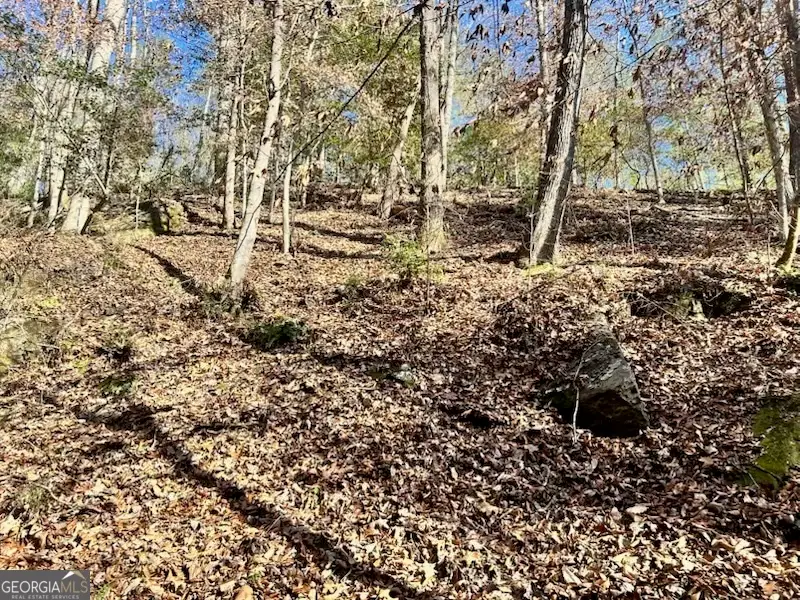 0 Corinth Church Road, Cleveland, GA 30528 - Image #1