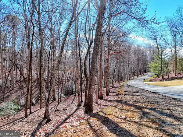 0 Rome Beauty Lane #1106, Clarkesville, GA 30523