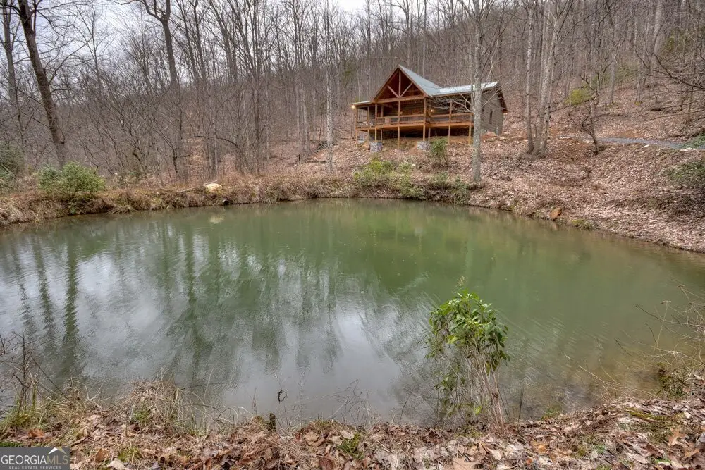 442 N Burgess Gap Road, Morganton, GA 30560 - Image #1