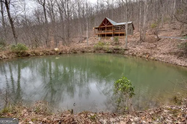 442 N Burgess Gap Road, Morganton, GA 30560