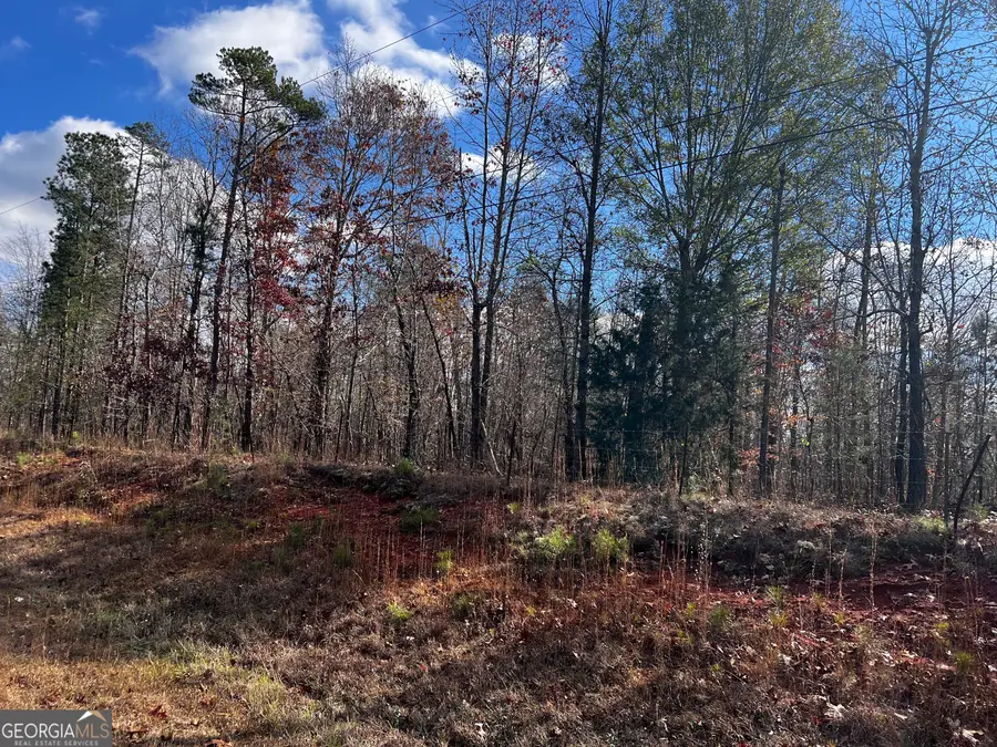 8 & 9 Lassiter Road, Forsyth, GA 31029 - Image #3