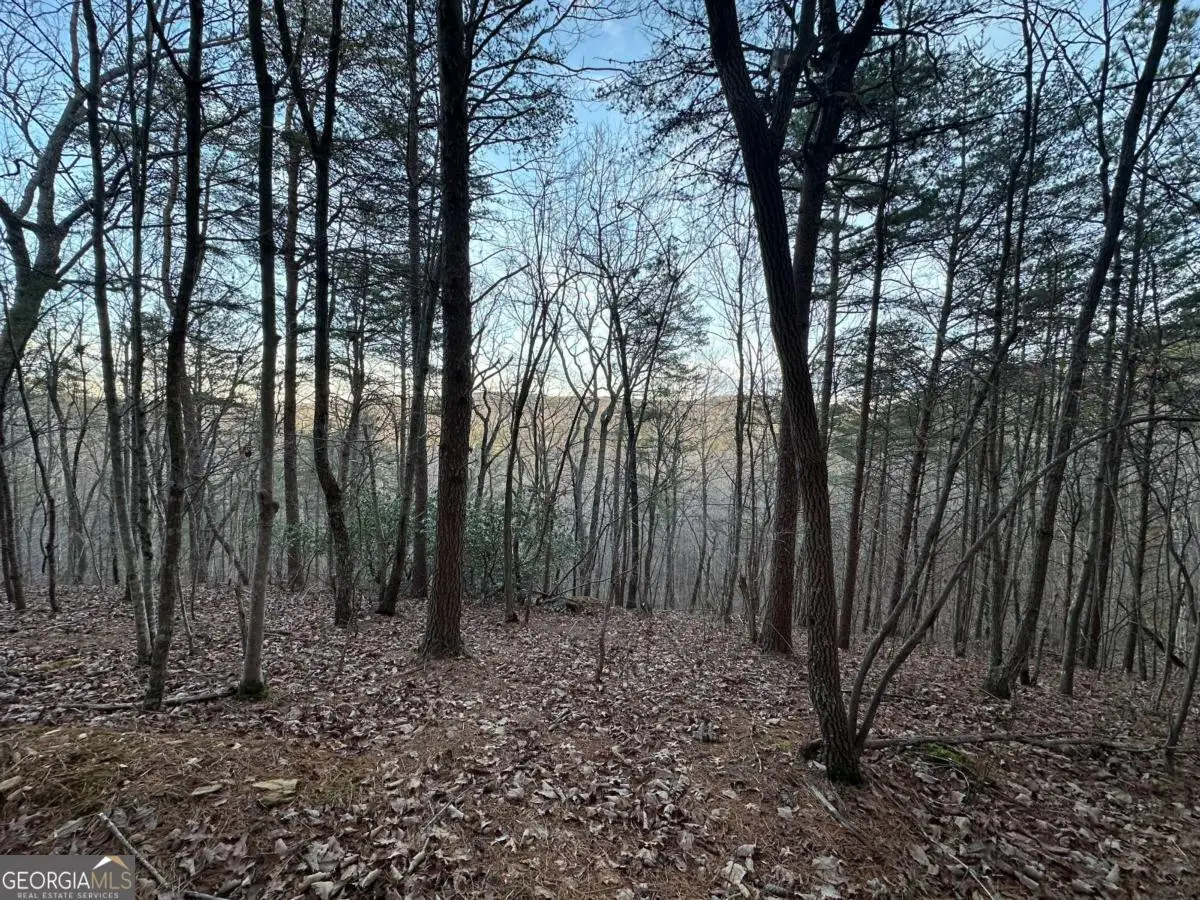 810 Bagwell Trail, Waleska, GA 30183 - Image #1