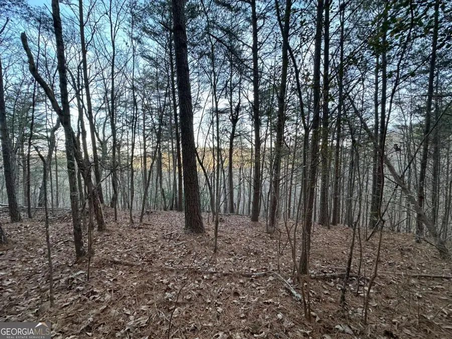 810 Bagwell Trail, Waleska, GA 30183 - Image #3