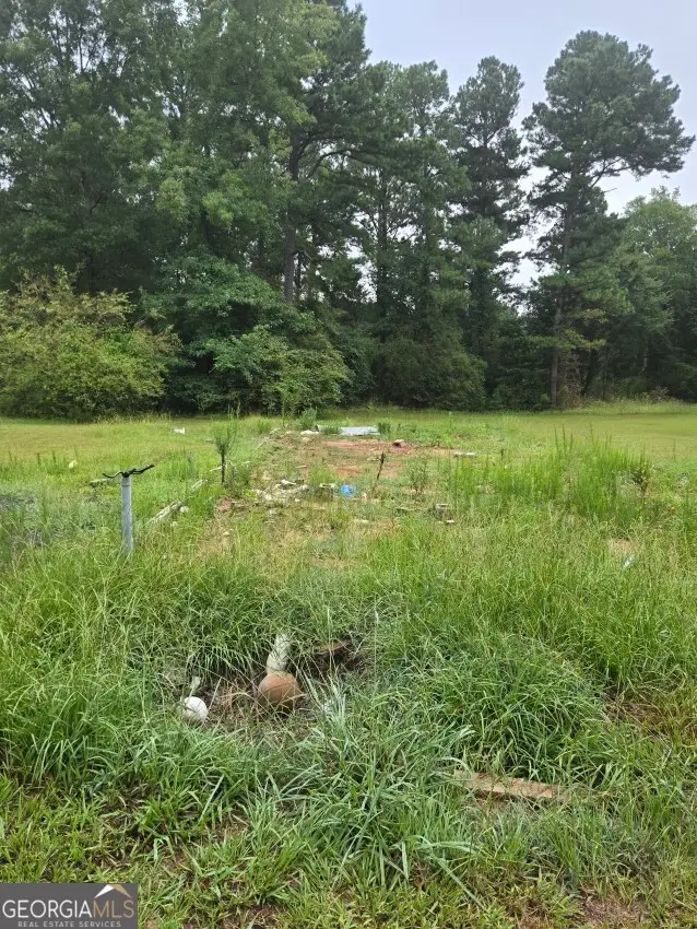 100 Hunters Ridge Drive, Monticello, GA 31064 - Image #2