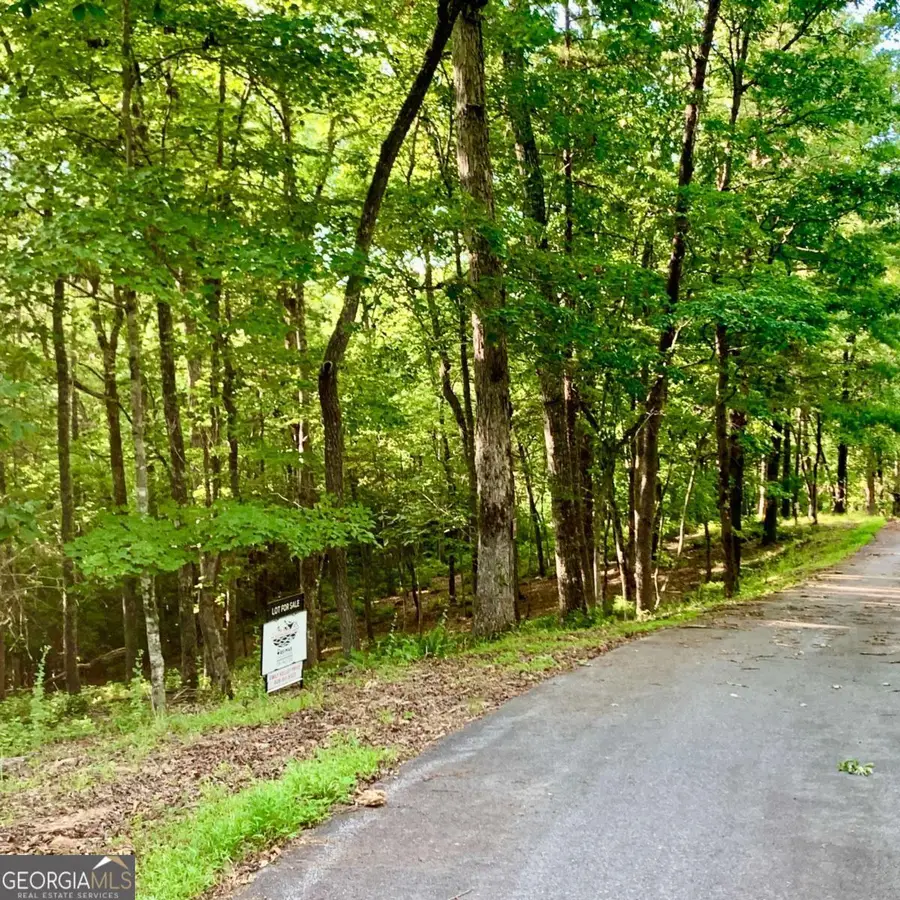 LOT 19 Brasstown Trails, Warne, NC 28909 - Image #2