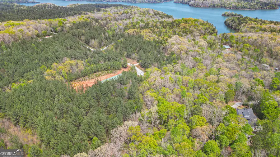 1043 Long Pine Lane, Elberton, GA 30635 - Image #3