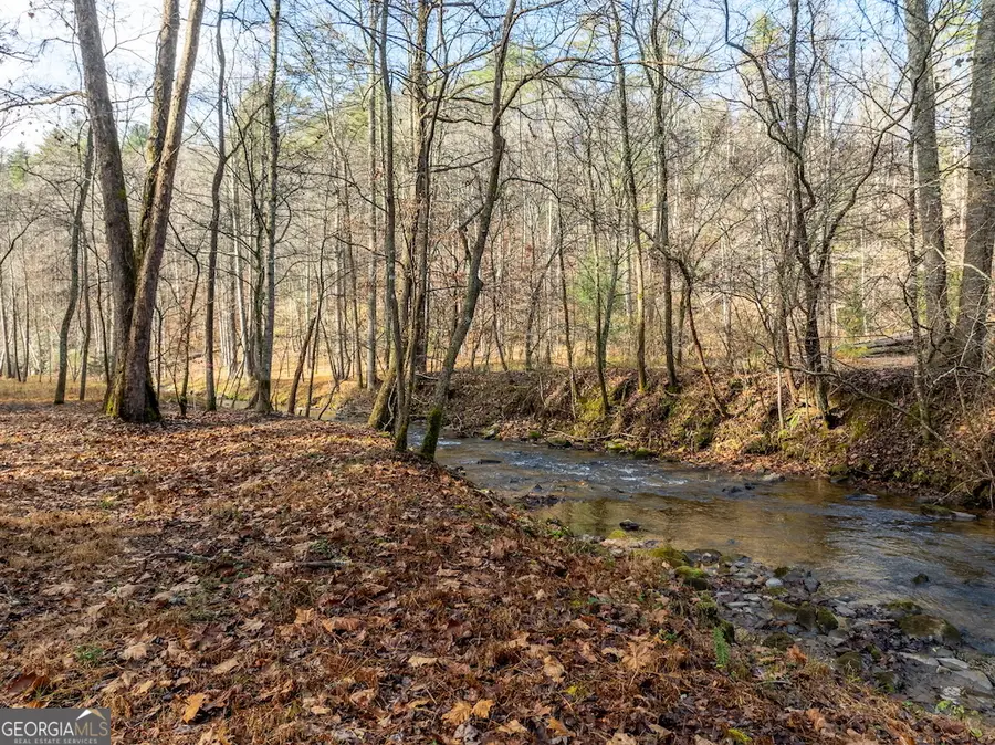894 Hap Holt Road, Ellijay, GA 30540 - #3