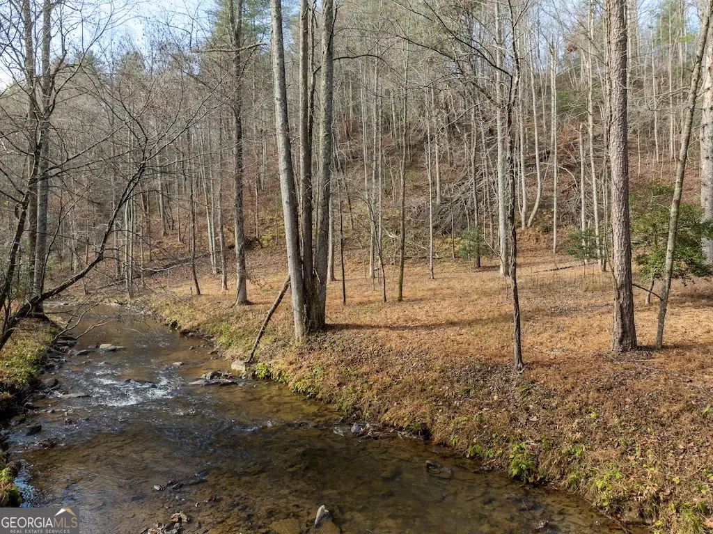 780 Banks Road, Ellijay, GA 30540 - #1