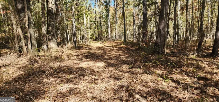 0 Hwy 411, Rome, GA 30161 - Image #3