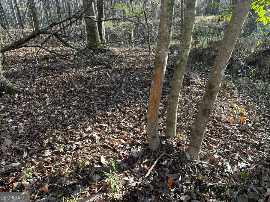 3016 Trammell Bottom Rd, Hogansville, GA 30230 - Image #3