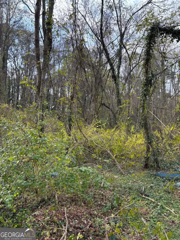 3231 Jonesboro Road Se, Atlanta, GA 30354