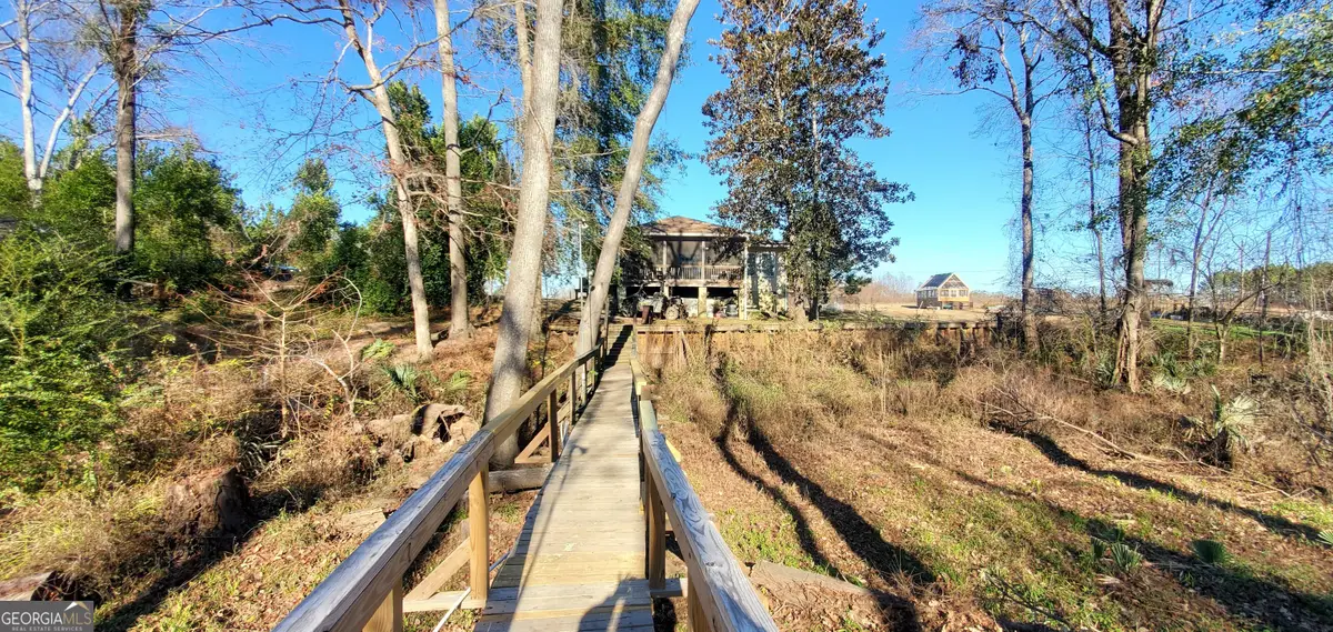 147 Brannen Landing Road, Midville, GA 30441 - Image #1