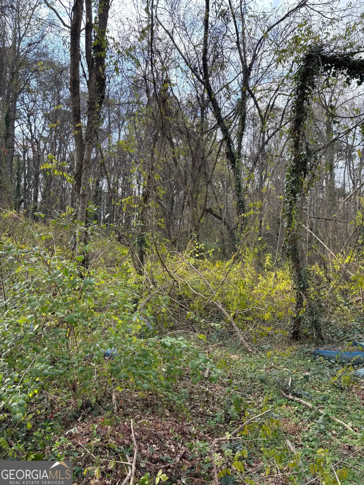 3233 Jonesboro Road Se, Atlanta, GA 30354 - #1