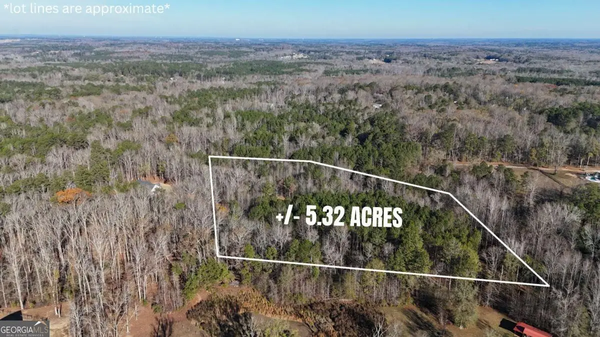 2486 Hwy 54 Highway #LOT 4, Moreland, GA 30259 - Image #1