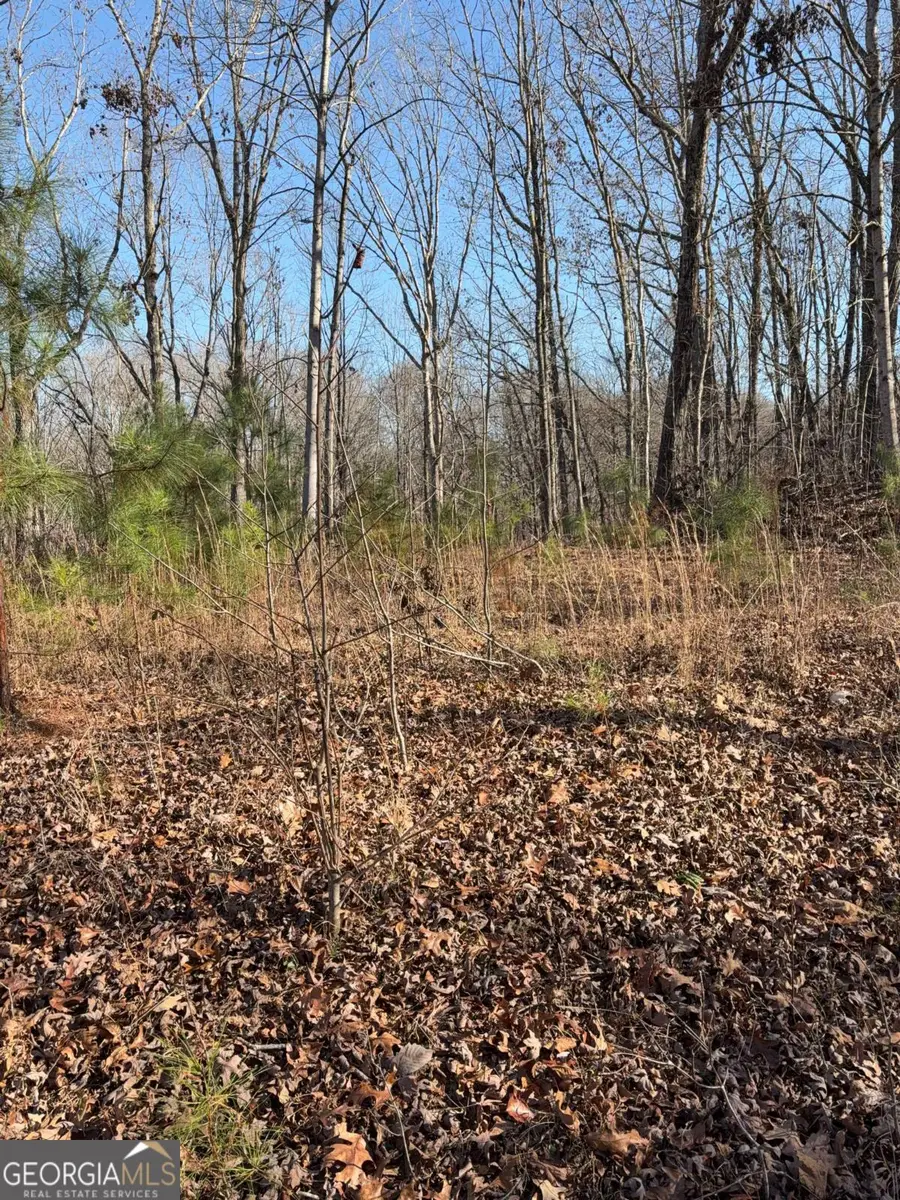 5164 Dudley Hill Road, Gainesville, GA 30506 - #2