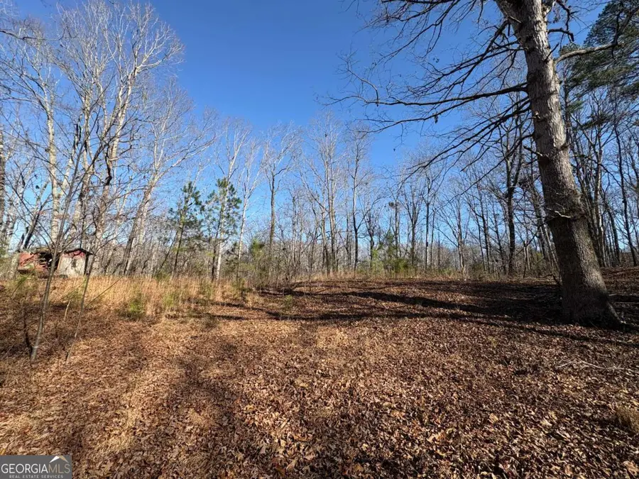5164 Dudley Hill Road, Gainesville, GA 30506 - #3