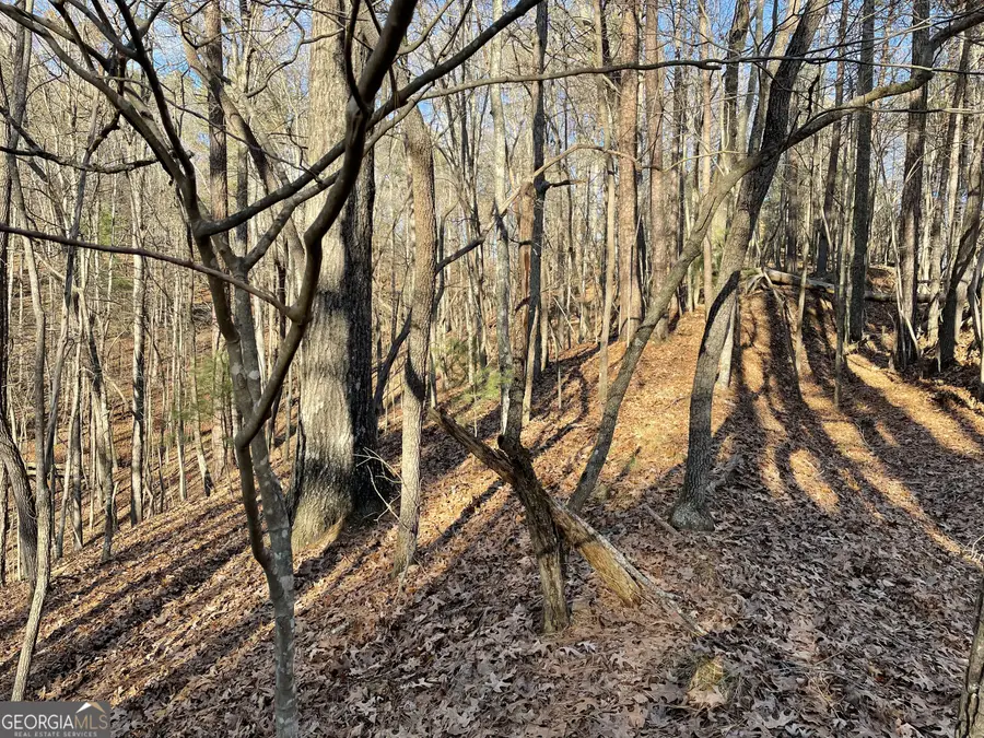 2458 Montage Drive #2458, Ellijay, GA 30540 - #2